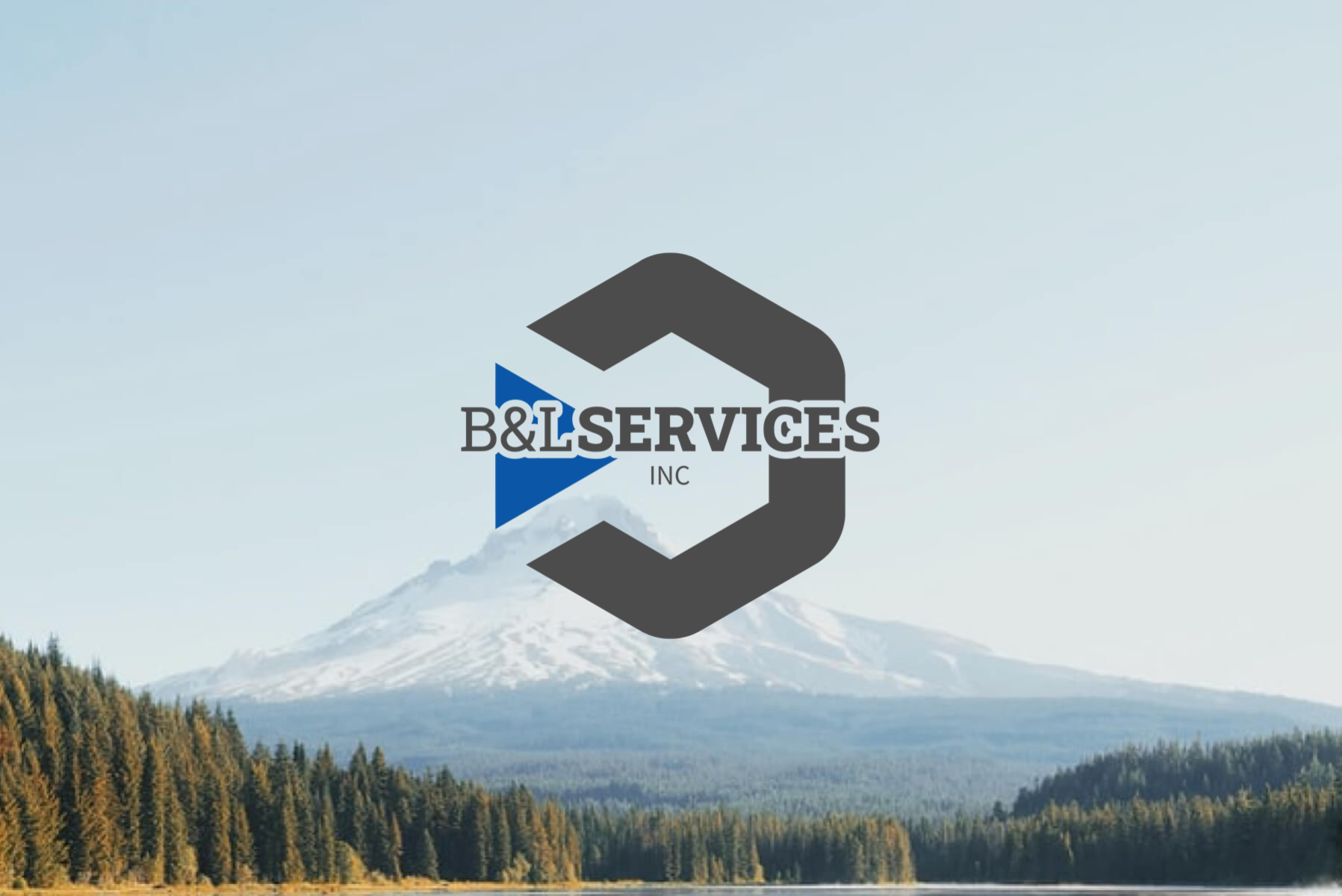 B&L Services Inc logo